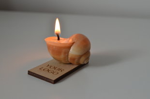 SNAILY CANDLE ar 4stūri